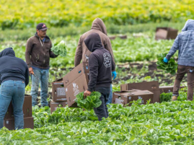 Seasonal Jobs in Canada