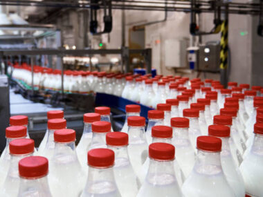 Poland's Milk and Dairy Factory