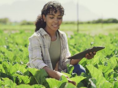 Farm Supervisor Jobs