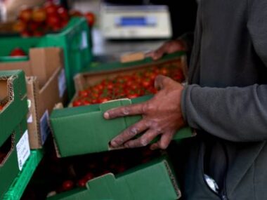 Portugal 2025 Farm Jobs