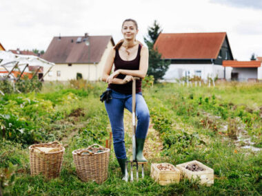 German Agricultural Farms