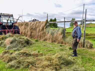 Farm Jobs for Foreigners in Finland