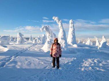 Finland Jobs for Foreign Workers