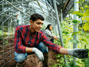 Jobs on US Farms