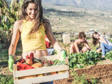New Zealand Farm Jobs
