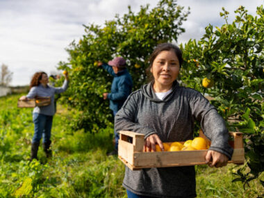 Australia's Farm Hand Jobs