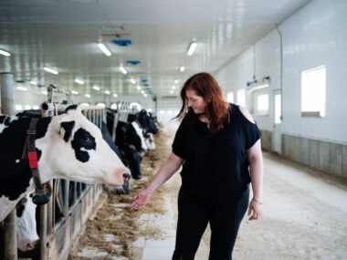 Canadian Dairy Farms
