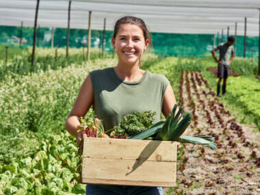 Farm Jobs