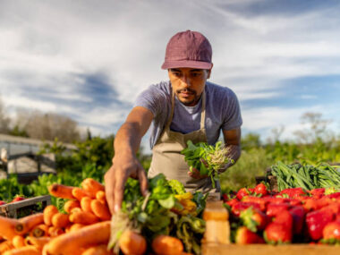 Farm Workers