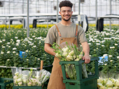 Farm Assistants